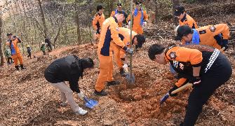제73회 식목일기념 나무심기 행사 3