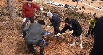 제73회 식목일기념 나무심기 행사 2
