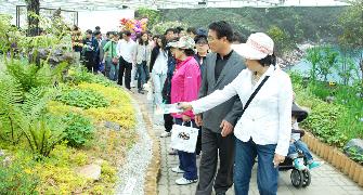 안면도 국제꽃박람회 벤치마킹 (2009. 5. 15) 3